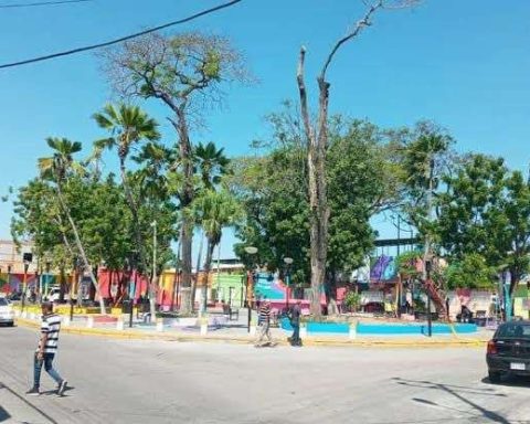 TSJ annulled sentence that favored two detectives