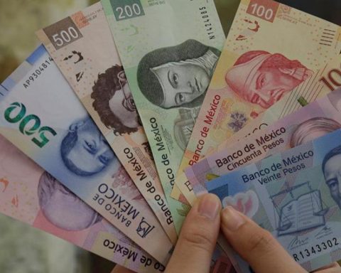 Take it into account! These 20 peso bills will stop circulating