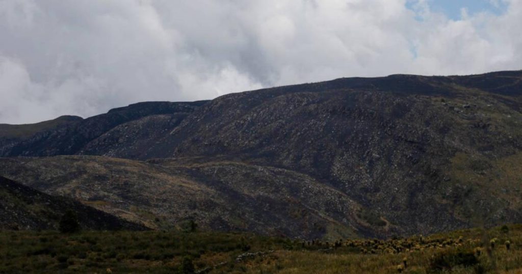 The 4th World Paramos Summit begins in Bucaramanga, a meeting for conservation