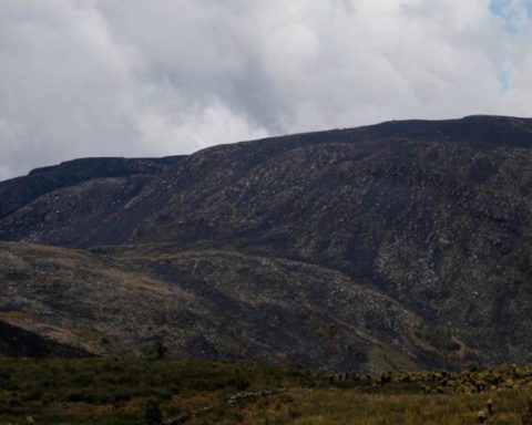 The 4th World Paramos Summit begins in Bucaramanga, a meeting for conservation