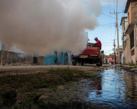 The Government admits an increase in dengue and chikungunya, but does not give figures