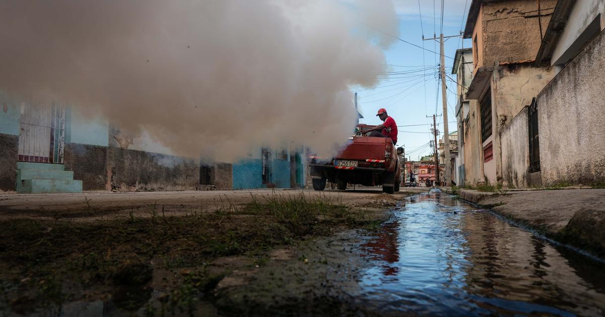 The Government admits an increase in dengue and chikungunya, but does not give figures