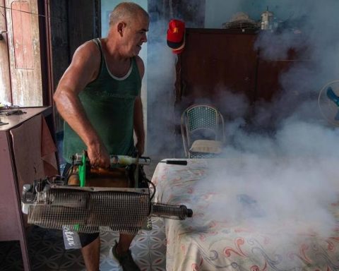 The Ocdh demands that Cuba declare the "health emergency" due to chikungunya, dengue and oropouche