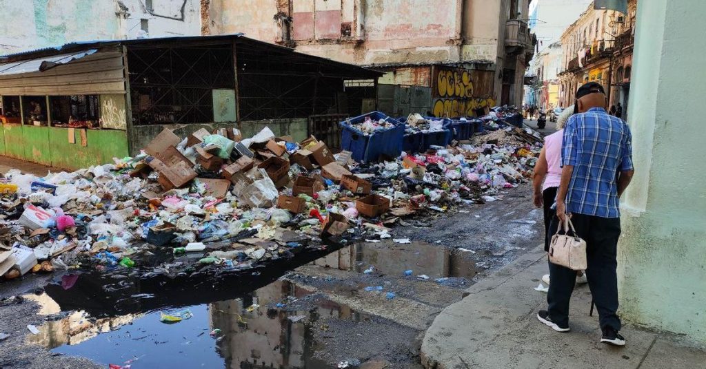 The fear of an epidemic leads to the Cuban authorities to organize a campaign of "hygienization"