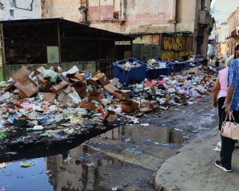 The fear of an epidemic leads to the Cuban authorities to organize a campaign of "hygienization"