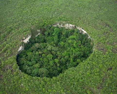 The guardian of the jaguar: a Colombian park larger than several countries