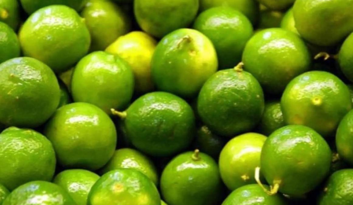 The lemon continues expensive: production is recovered, but prices are not yet