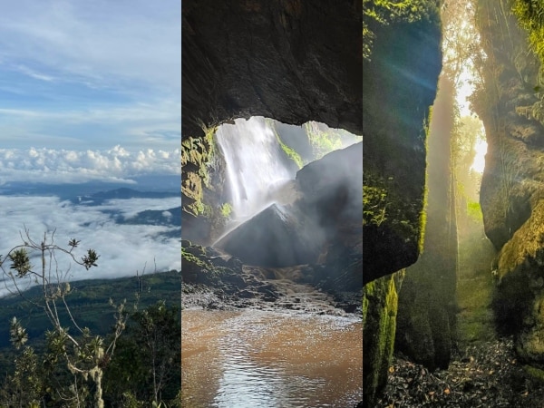 The magical little-explored forest of Colombia, where visiting it is like crossing the border of reality into a fantasy world