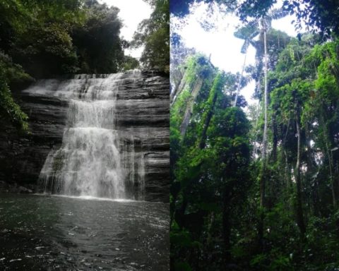 The new Natural National Park that is preparing to receive tourists in Colombia: a contrast paradise