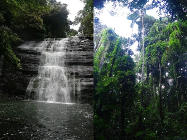 The new Natural National Park that is preparing to receive tourists in Colombia: a contrast paradise