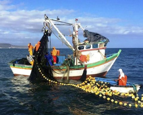 The tragedy of the commons and artisanal fishing in Peru