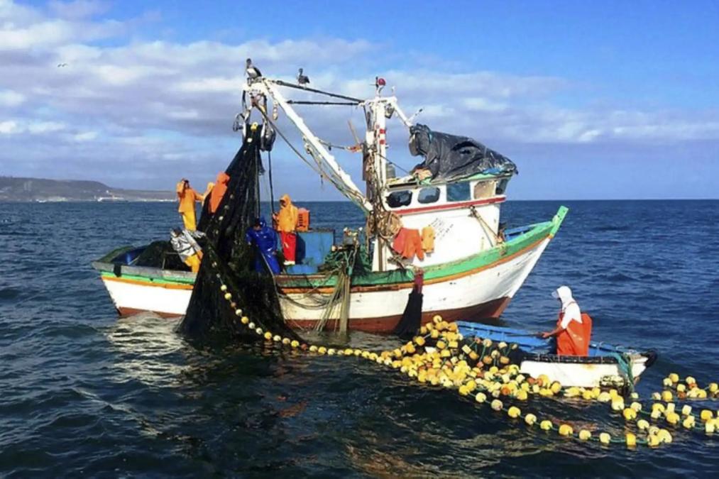 The tragedy of the commons and artisanal fishing in Peru
