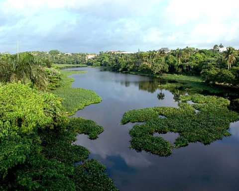 Piden decreto sobre ríos preserve el cinturón verde