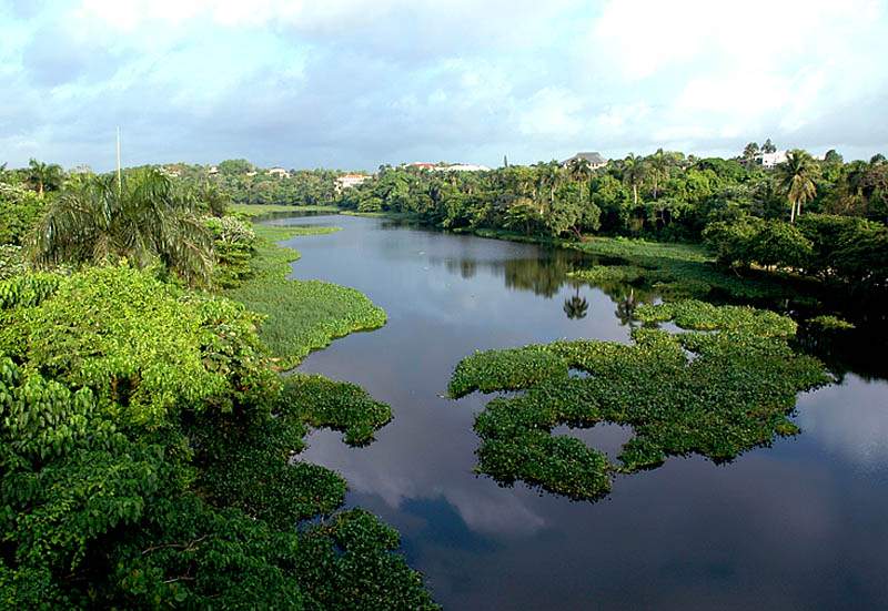 Piden decreto sobre ríos preserve el cinturón verde