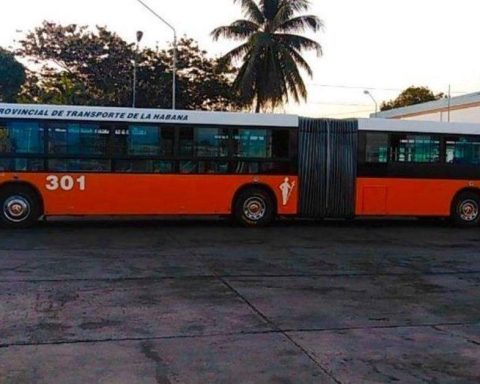 They ask to fall "All the weight of the law" About fuel thieves