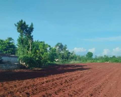Foto referencial: una finca en Alquízar, provincia de Artemisa