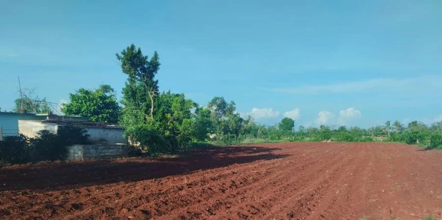 Foto referencial: una finca en Alquízar, provincia de Artemisa