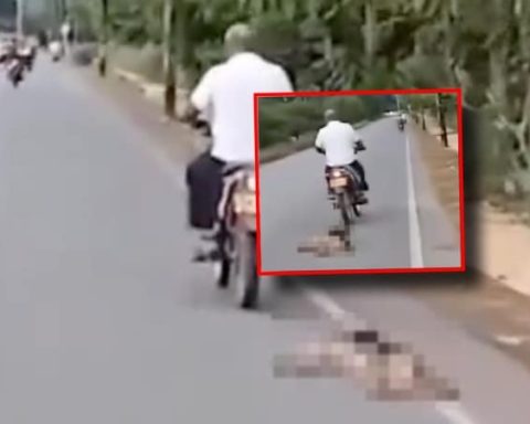 They point to councilor as responsible for aberrant case of animal abuse; His political party took action