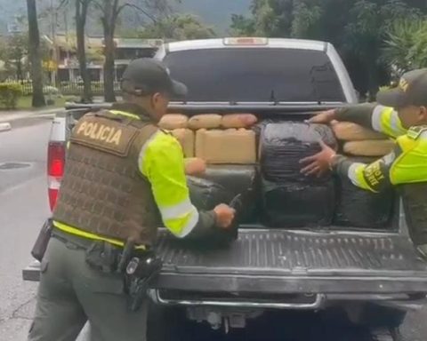 They seize more than 1,200 kilos of marijuana on the roads of Tolima