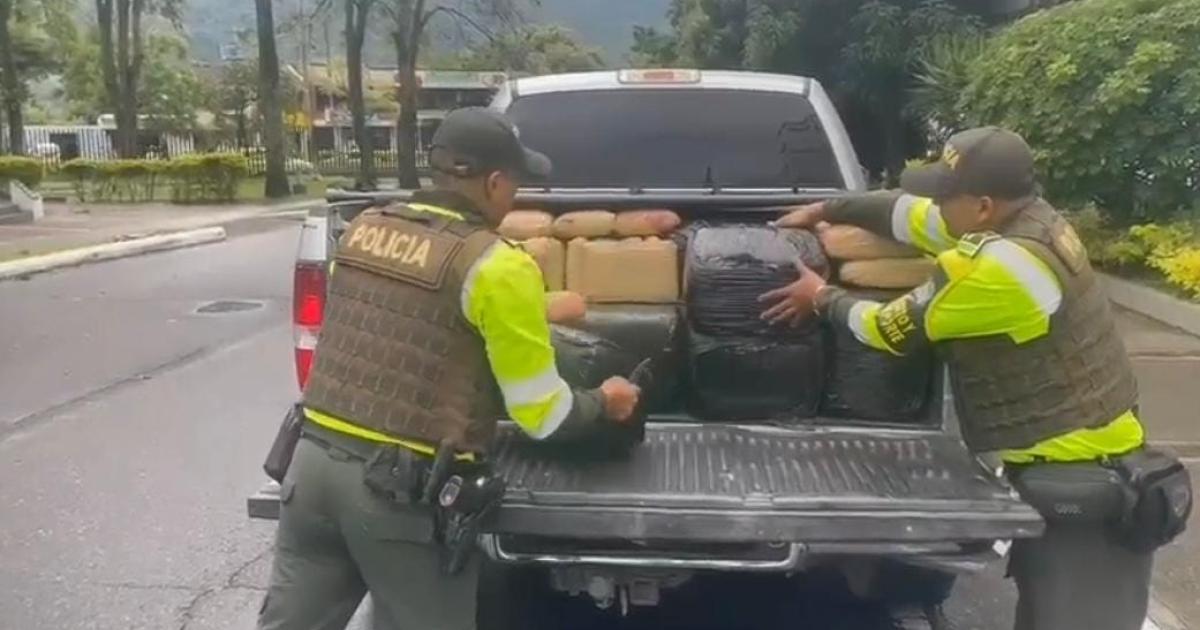 They seize more than 1,200 kilos of marijuana on the roads of Tolima