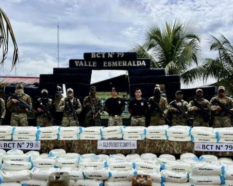 They seize more than 6 tons of chemical inputs used to produce drugs in Vraem