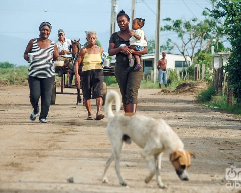 Two new sexist murders bring the total so far this year to 35