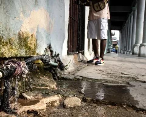 Los salideros, el agua estancada y las montañas de basura en La Habana propician la reproducción del mosquito que transmite el chikungunya