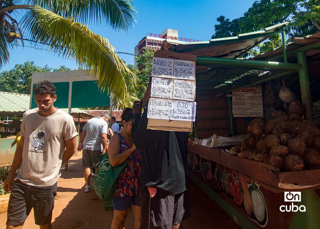 Up to 16 thousand pesos fine in agricultural markets in Havana for speculation