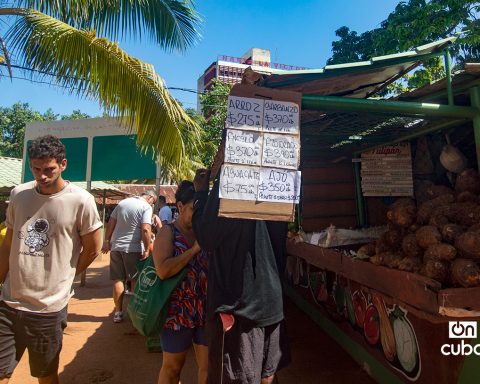Up to 16 thousand pesos fine in agricultural markets in Havana for speculation