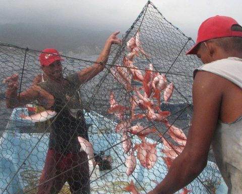 Venezuela and China sign fishing and aquaculture cooperation agreement