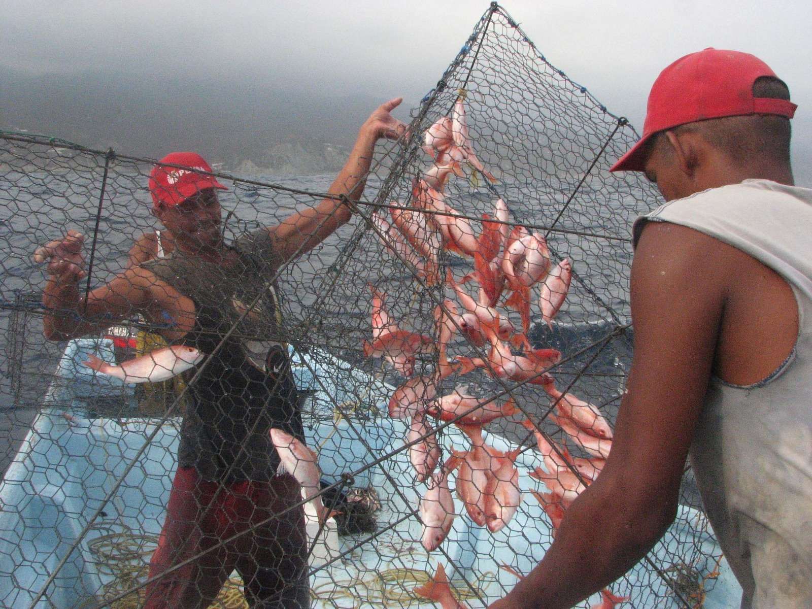 Venezuela and China sign fishing and aquaculture cooperation agreement