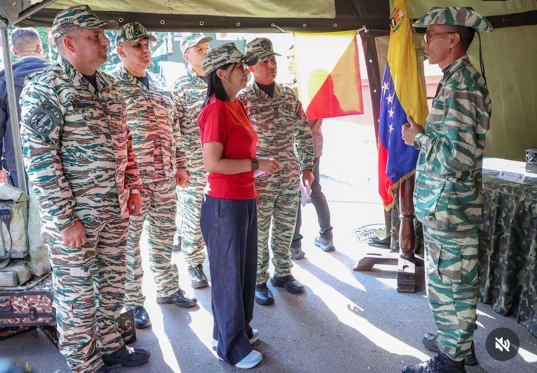 Vice President: We are integrated into all defense systems