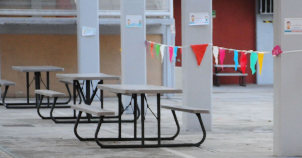 What is known about the poisoning of more than 70 children in Tijuana