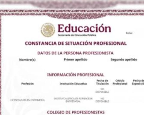 What is the proof of the official professional situation, what is it for and how is it downloaded?