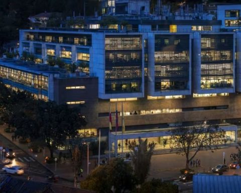 Where are the professionals most hired by companies in Colombia trained and studied?