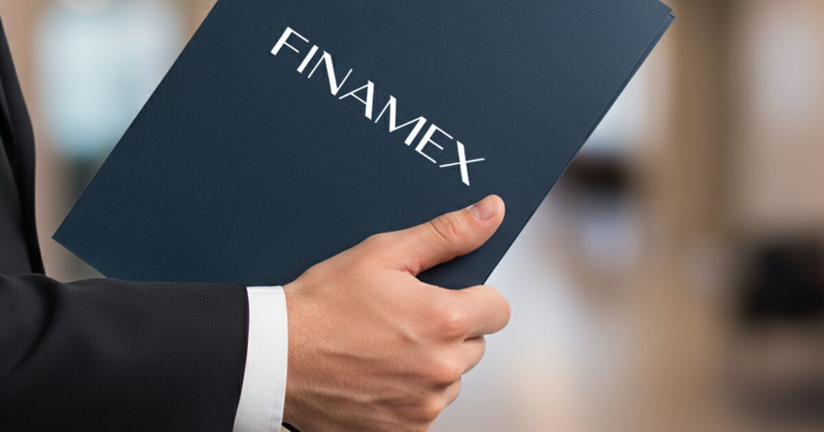 Who owns Finamex, the stock market that took vector investment customers?