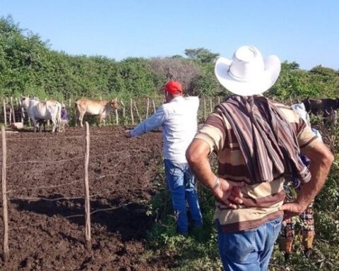 Without electricity and threatened with an animal census, ranchers in Florida remain in the dark