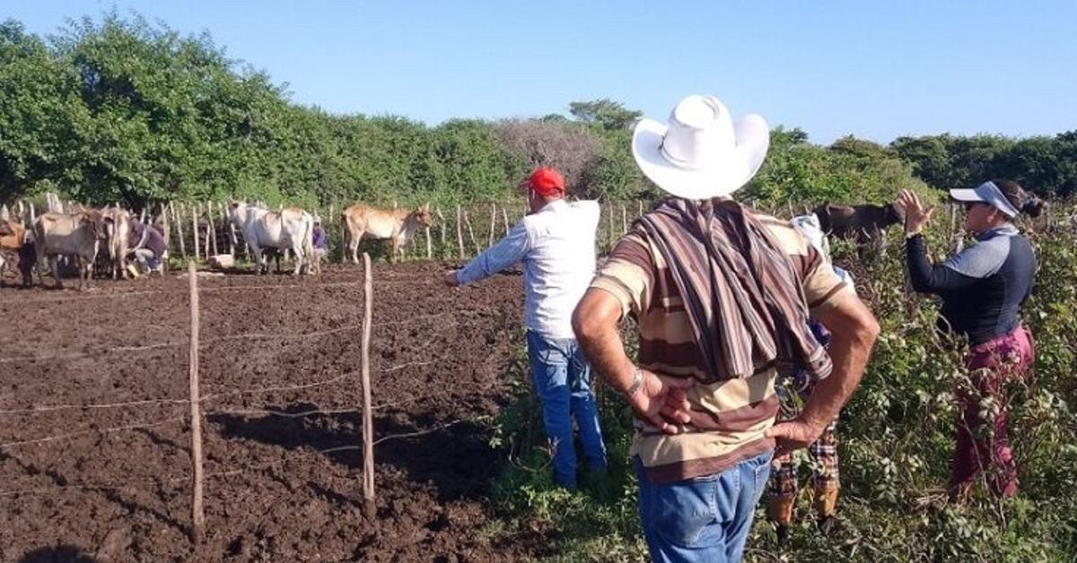 Without electricity and threatened with an animal census, ranchers in Florida remain in the dark