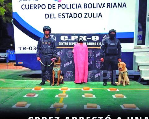 Woman trapped with 16 panelas