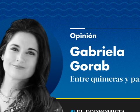 XV years of Vochol, in the MAP