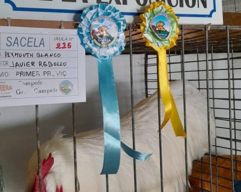 poultry expo