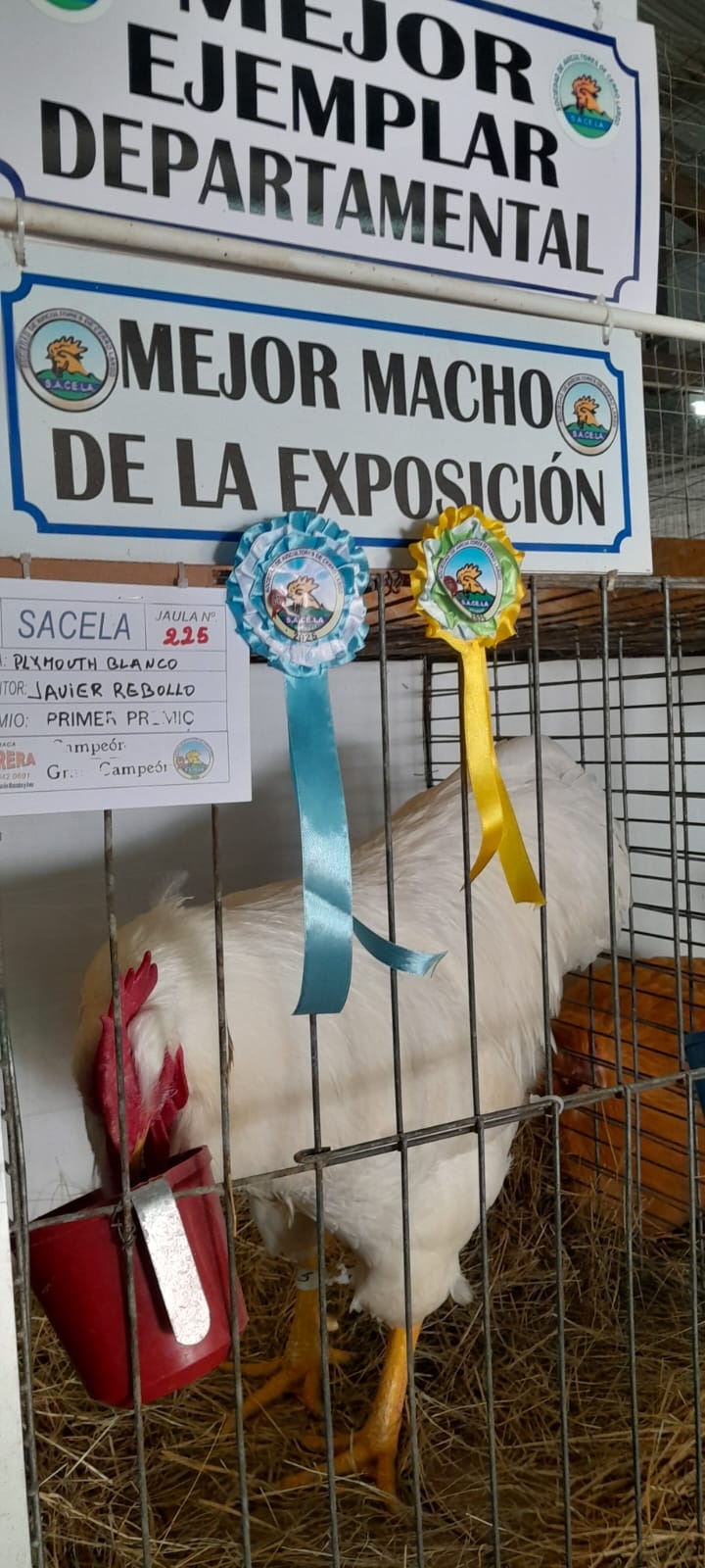 poultry expo