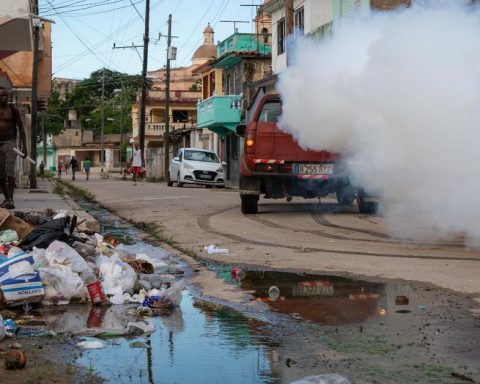 "Yes, people are dying because of this virus"