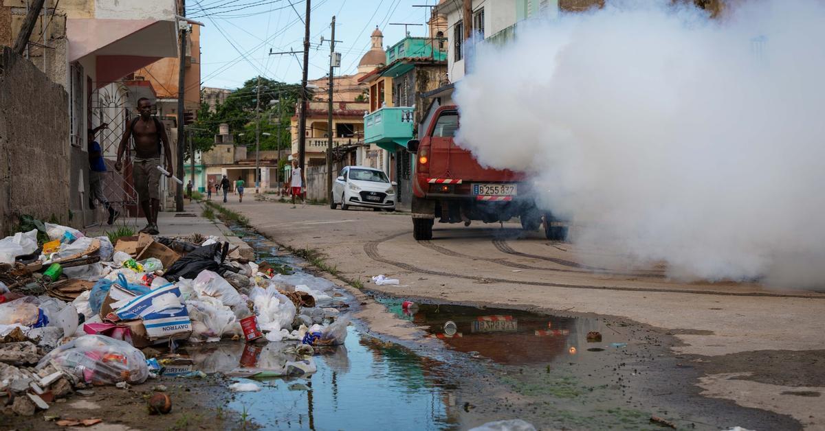 "Yes, people are dying because of this virus"