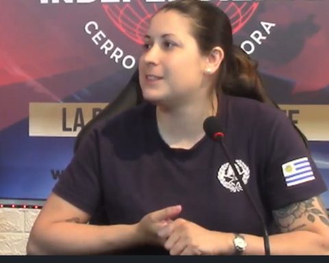 seasonal firefighters