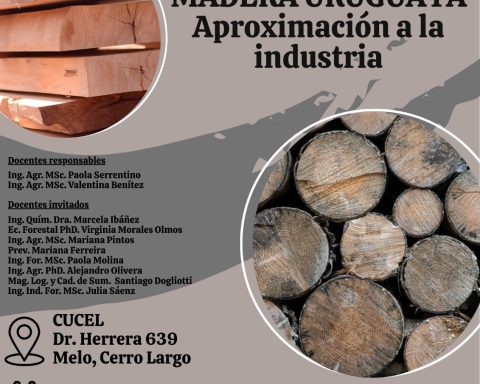 Coexistence and actions