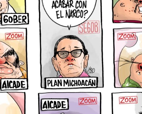 Michoacan Plan
