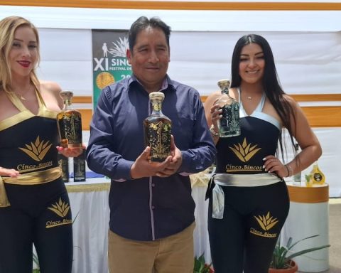 400 liters of agave for tourists at the festival in Sincos