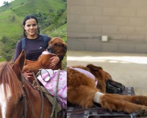 "Una historia de amor": Sara recorrió una hora a caballo para esterilizar a sus mascotas y darles una mejor vida