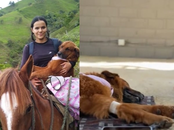 "Una historia de amor": Sara recorrió una hora a caballo para esterilizar a sus mascotas y darles una mejor vida
